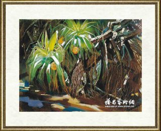 王昌楷_野菠萝^-^Wild Pineapple